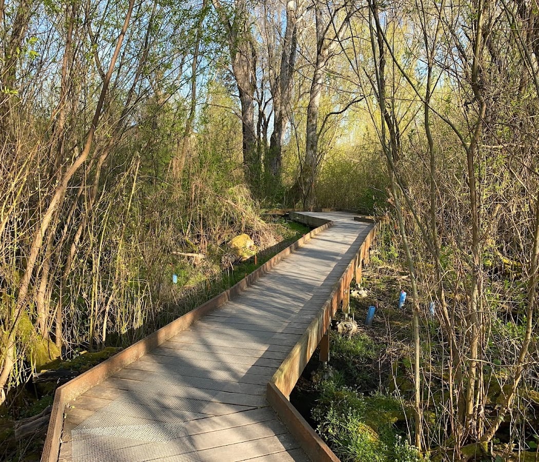 Taking the Edge Off: Pruning for Natural Areas Workshop 1
